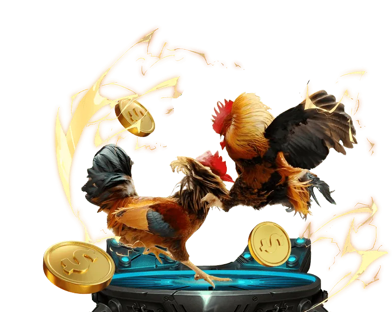 Tổng quan về GDPR và cam kết bảo mật của 1xBet Đăng Nhập